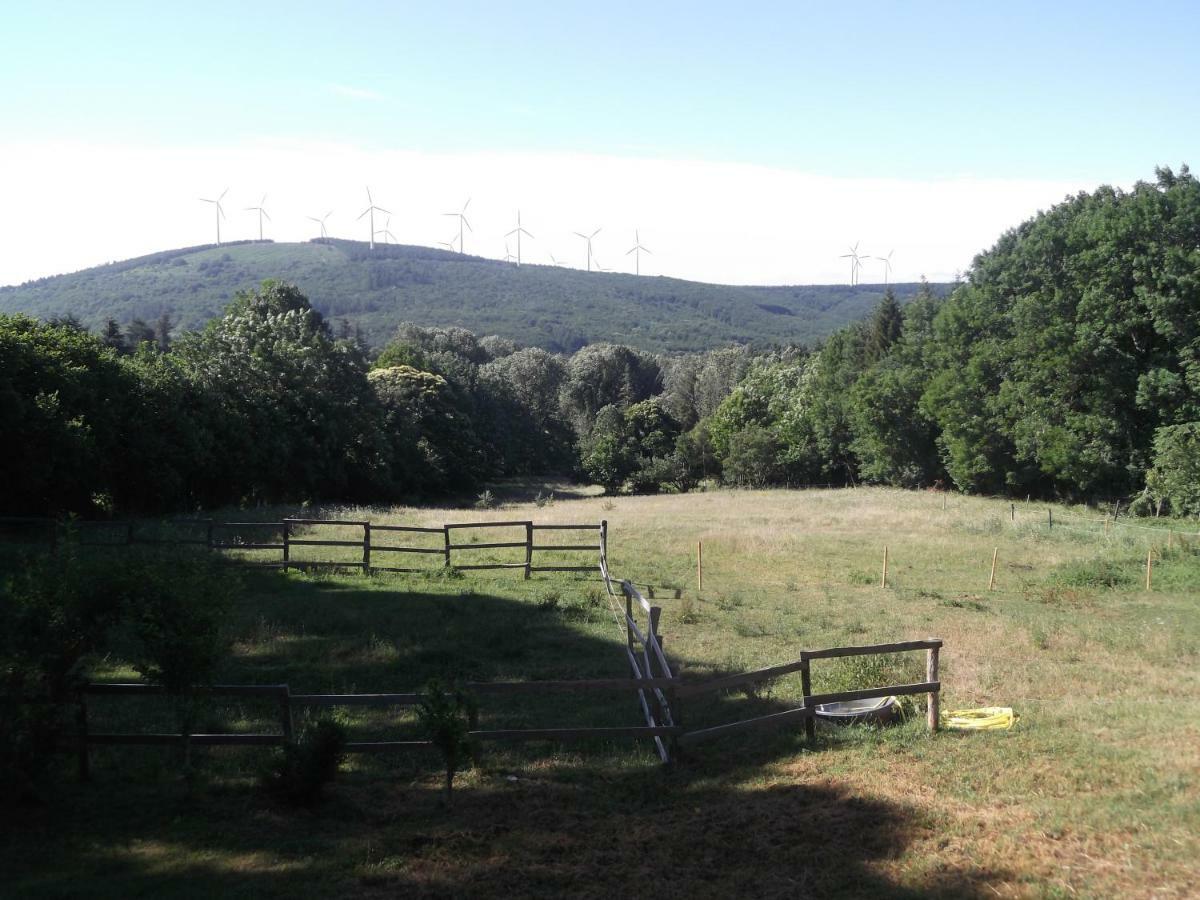 Gîte rural, relais équestre Le Tulipier Pradelles-Cabardes Exterior foto